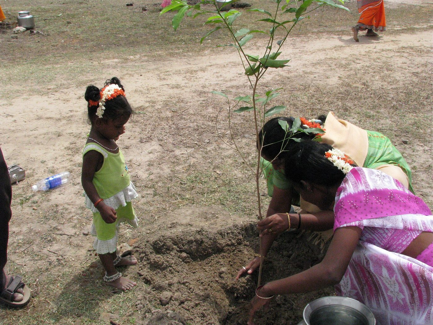 Planting a sapling — the moment JayshriVan is built around